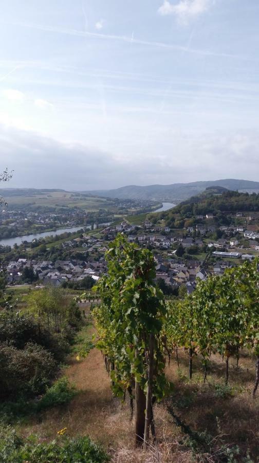 Kalverkamp Ferienwohnung Lieser Exterior foto